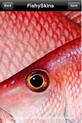 red snapper